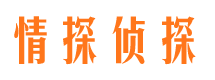 会理市婚外情调查